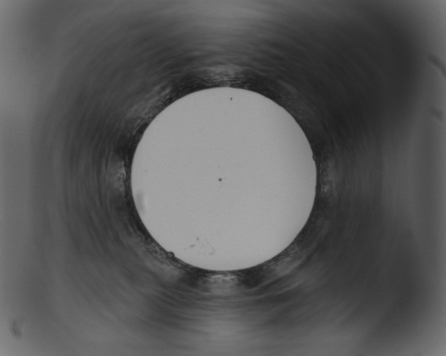 X0000103280279200809261233