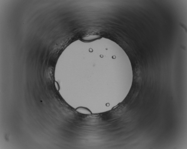 X0000103280280200809261233