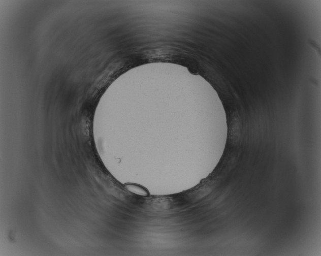 X0000103280282200809261233