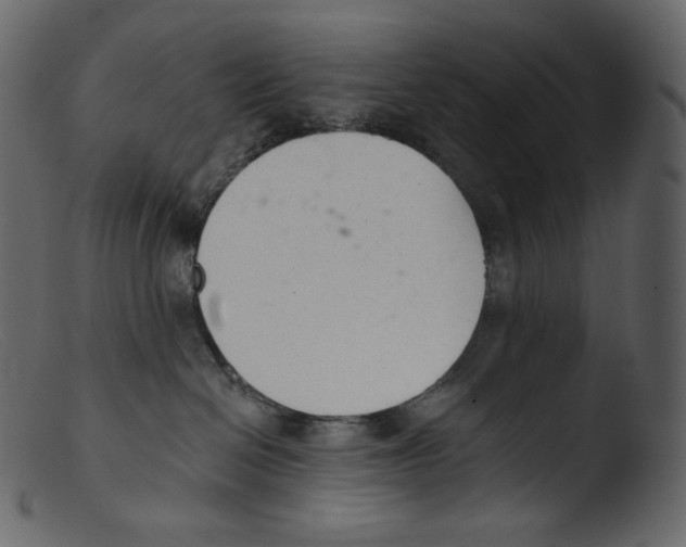 X0000103280286200809261233