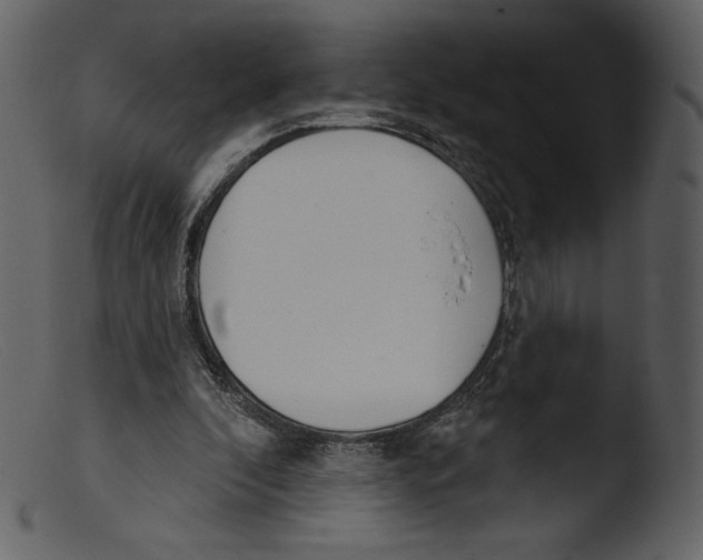 X0000103280296200809261233