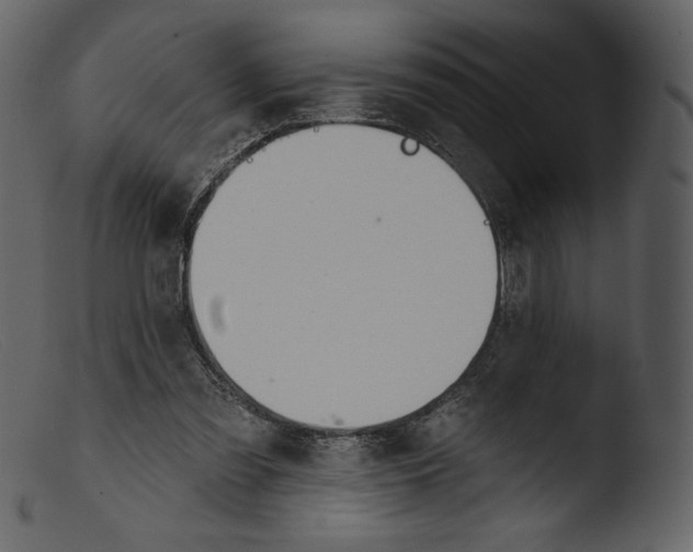 X0000103280301200809261232