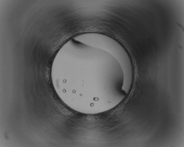 X0000103280305200809261232