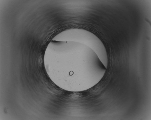 X0000103280320200809261232