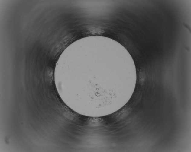 X0000103280321200809261232