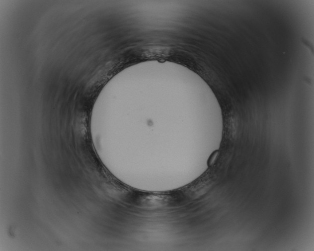 X0000103280323200809261232