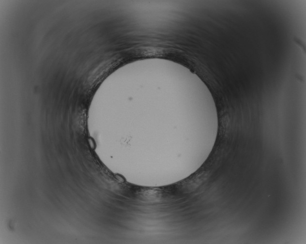 X0000103280325200809261232