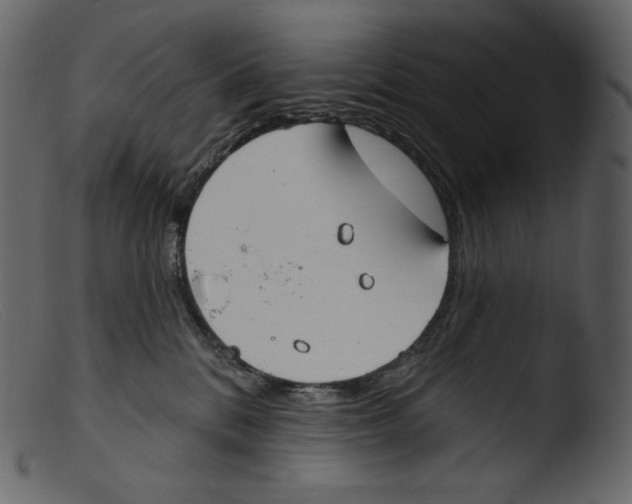 X0000103280328200809261232