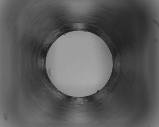 X0000103280330200809261232