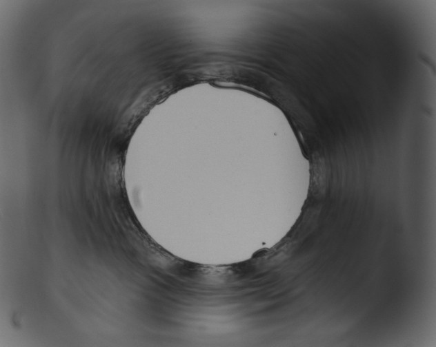 X0000103280333200809261232