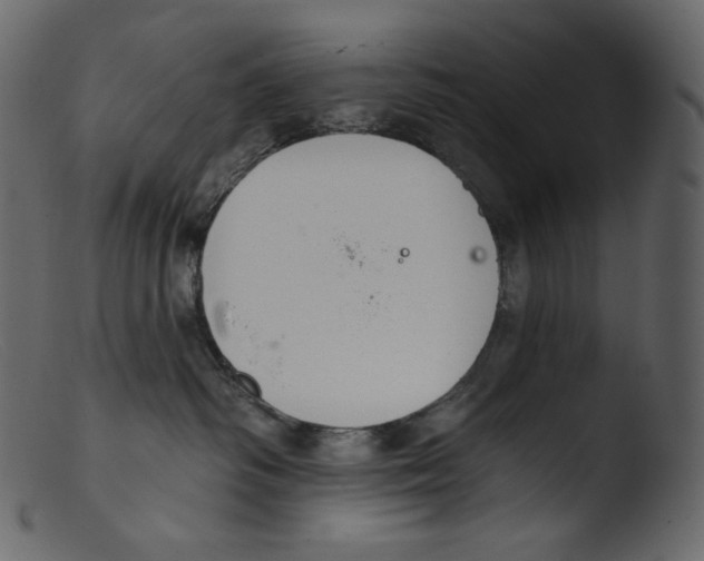 X0000103280334200809261232