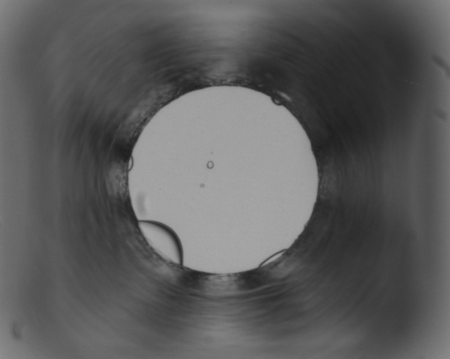 X0000103280335200809261232