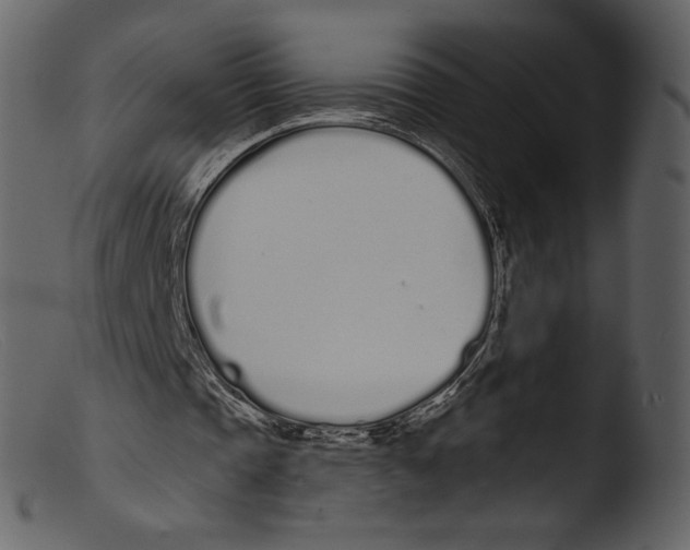 X0000103280337200809261231