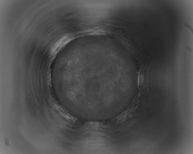 X0000103280339200809261231