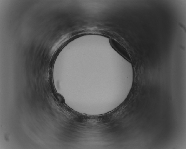 X0000103280344200809261231