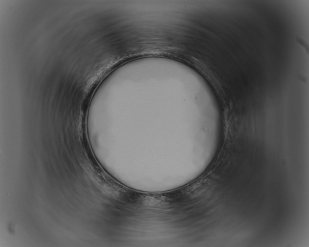 X0000103280346200809261231