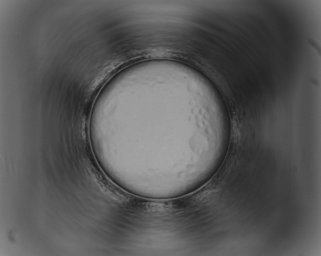 X0000103280347200809261231