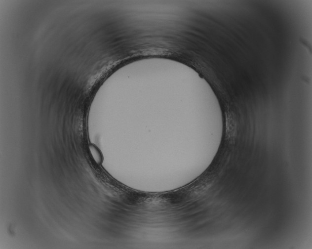 X0000103280348200809261231