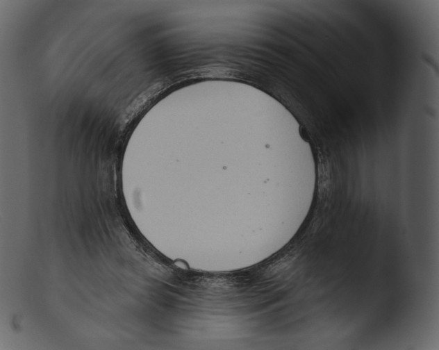 X0000103280349200809261231