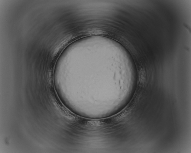 X0000103280351200809261231