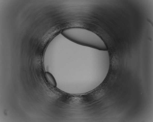 X0000103280352200809261231