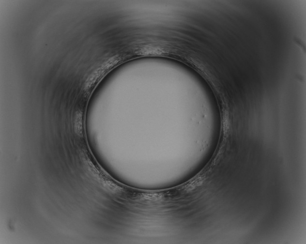 X0000103280353200809261231