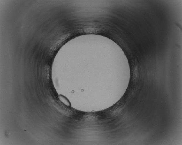 X0000103280356200809261231