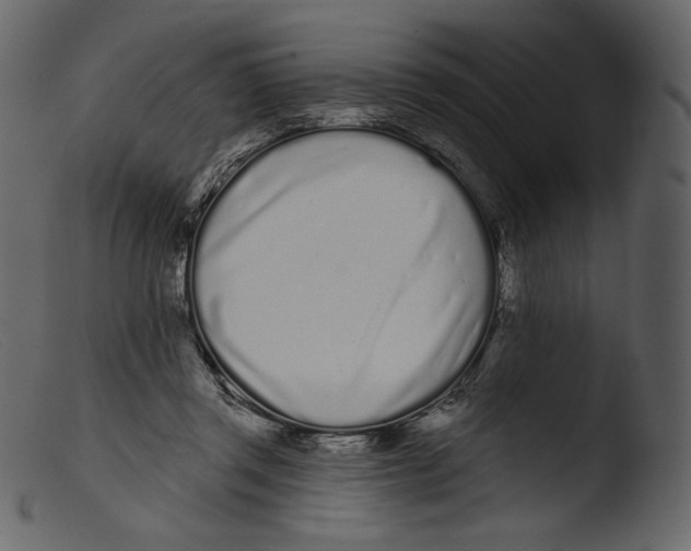 X0000103280357200809261231