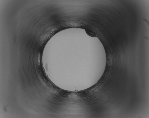 X0000103280358200809261231