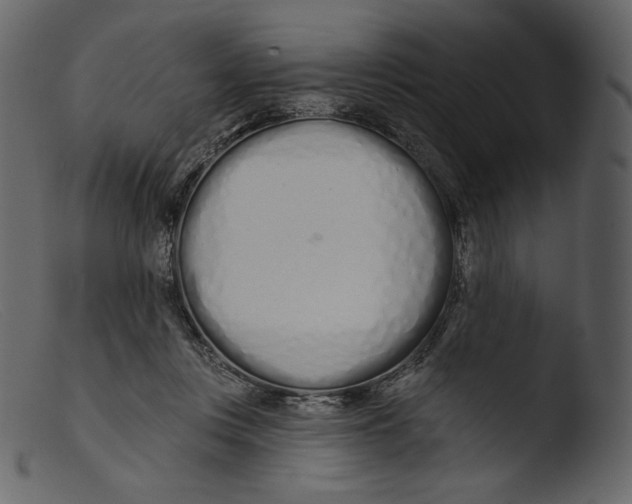 X0000103280359200809261231