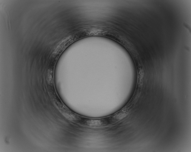 X0000103280361200809261231