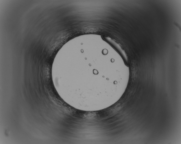 X0000103280362200809261231