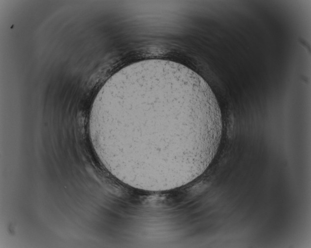 X0000103280366200809261232