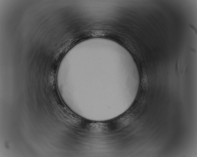 X0000103280367200809261232