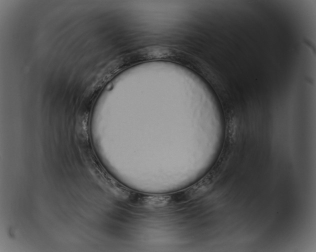 X0000103280373200809261232