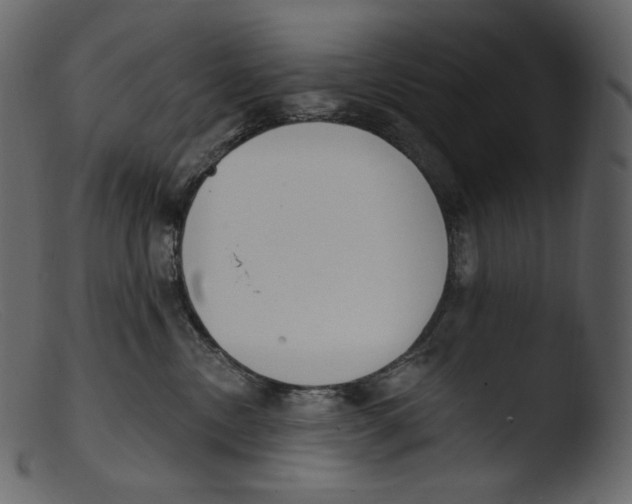 X0000103280378200809261232