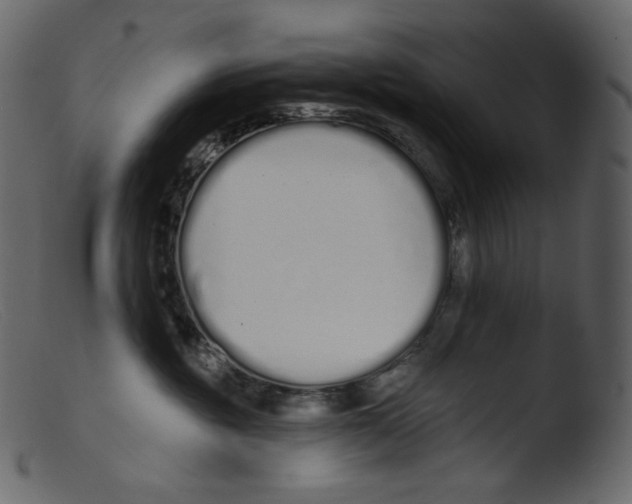 X0000103280381200809261232