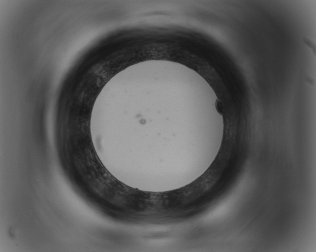 X0000103280383200809261232