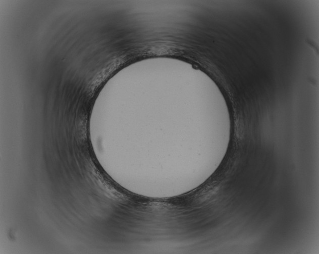 X0000103280393200809261231