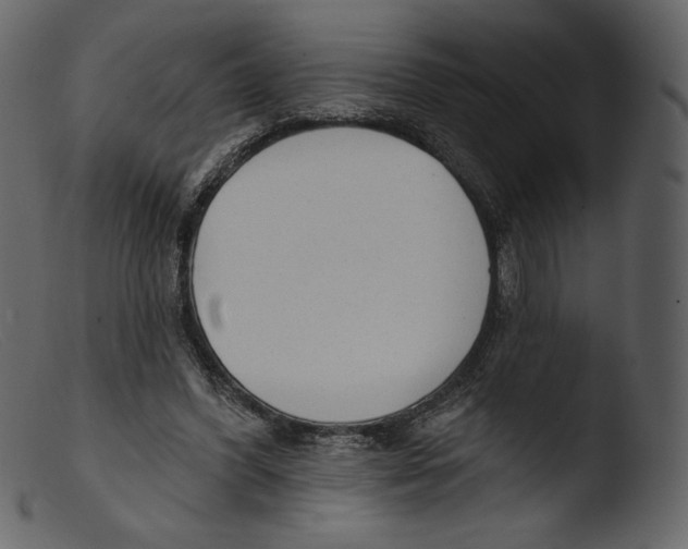 X0000103280396200809261231