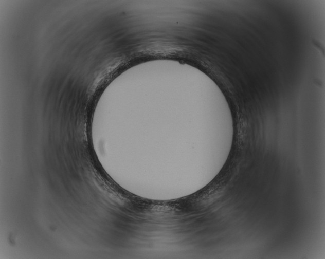 X0000103280399200809261231