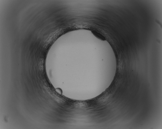 X0000103280402200809261231