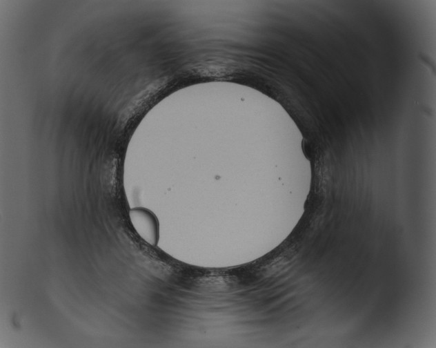 X0000103280404200809261231