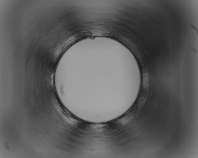 X0000103280405200809261231