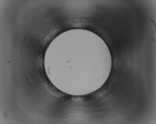 X0000103280407200809261231