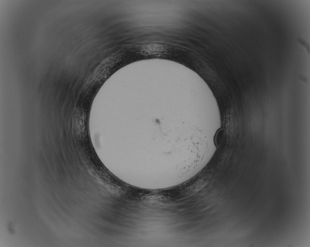 X0000103280408200809261231