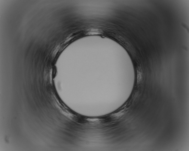 X0000103280409200809261231