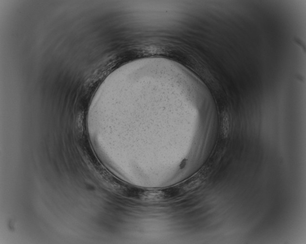 X0000103280410200809261231