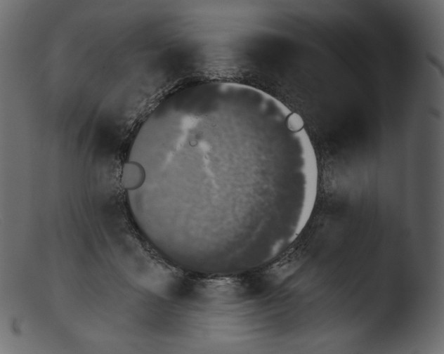 X0000103280411200809261231