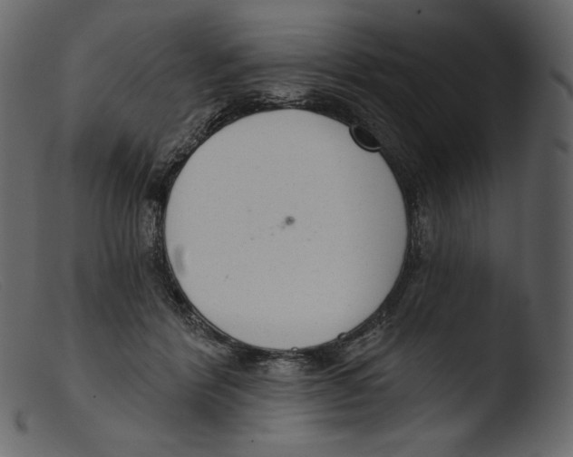 X0000103280412200809261231